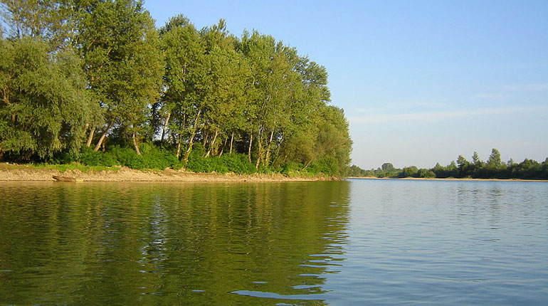Crkva brvnara